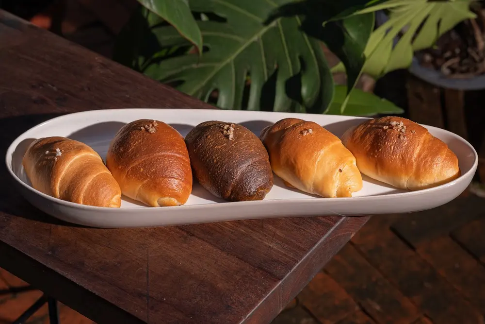 Fresh bread rolls