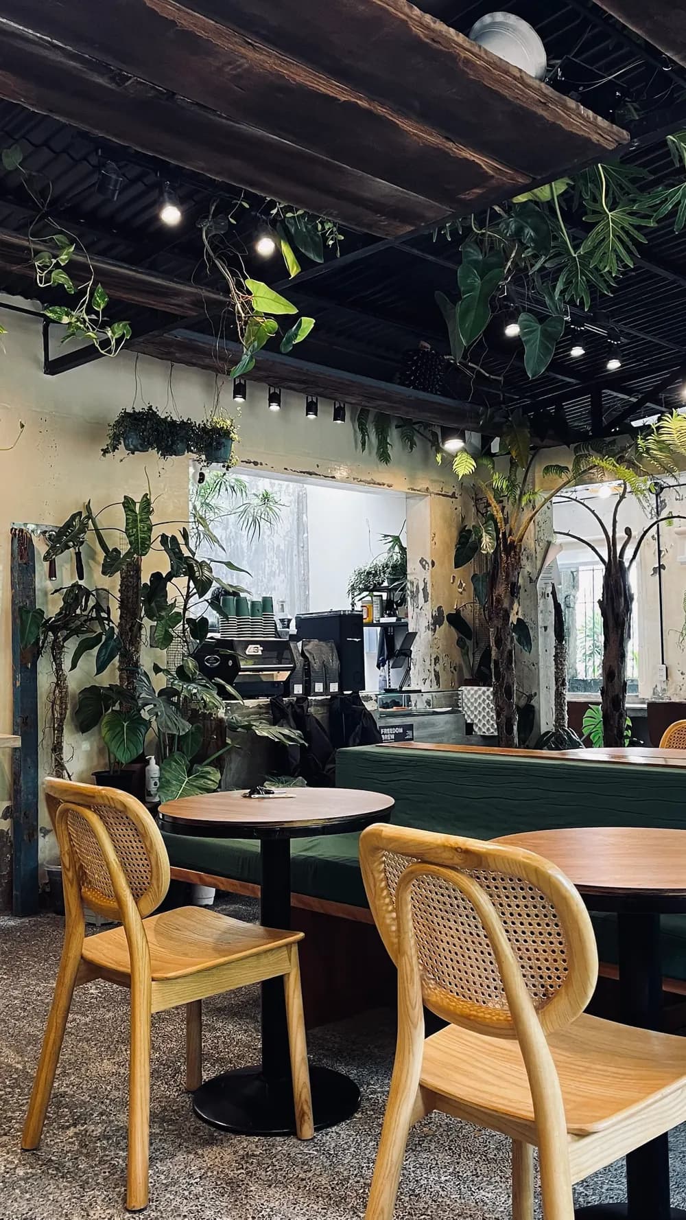 Inside HIBI COFFEE — tables, chairs and the coffee bar among plants